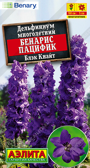 1931A Дельфиниум Бенарис пацифик блэк кнайт, 10 шт