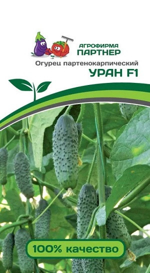 8336U Огурец УРАН F1 5шт