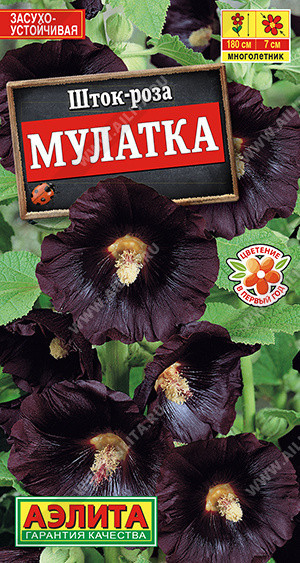 1797A Шток-роза Мулатка 10 шт