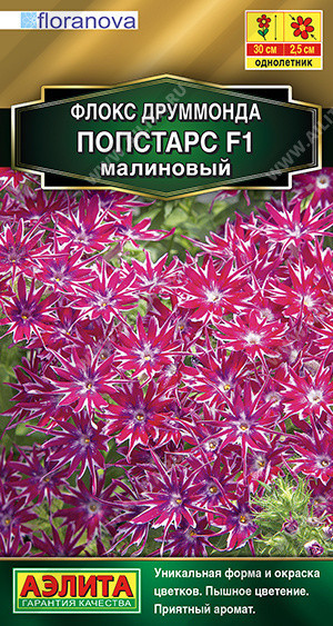8299U Флокс друммонда Попстарс F1 малиновый 5шт