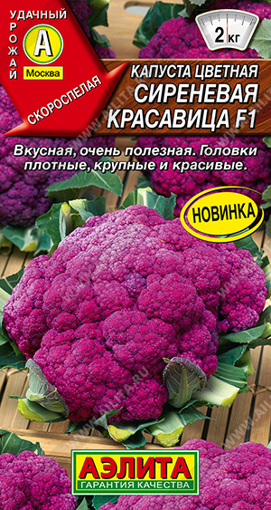 1841A Капуста цветная Сиреневая красавица F1, 7 шт