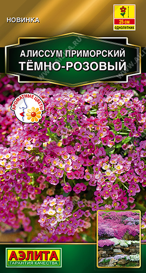1116A Алиссум приморский Тёмно-розовый 0,1 гр