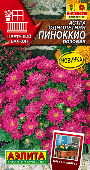 1174A Астра Пиноккио розовая 0,05 гр