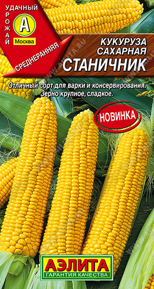 1845A Кукуруза сахарная Станичник, 7 гр