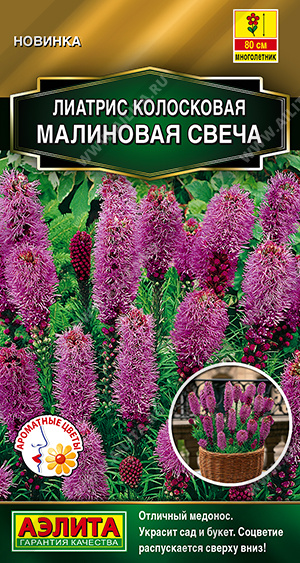 1951A Лиатрис Малиновая свеча, 0,1 гр