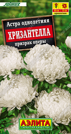 1185A Астра Хризантелла призрак оперы 15 шт