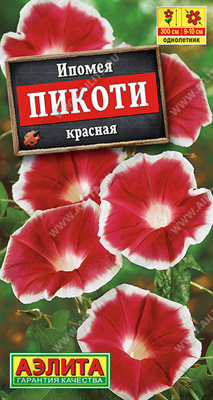 8204U Ипомея Пикоти красная 4шт