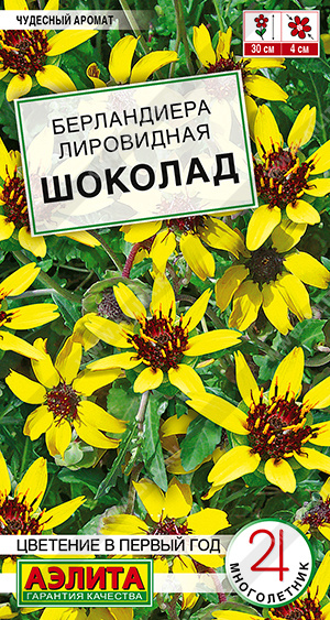 1241A Берландиера Шоколад 5 шт