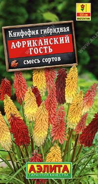 8214U Книфофия Африканский гость, смесь сортов 30шт