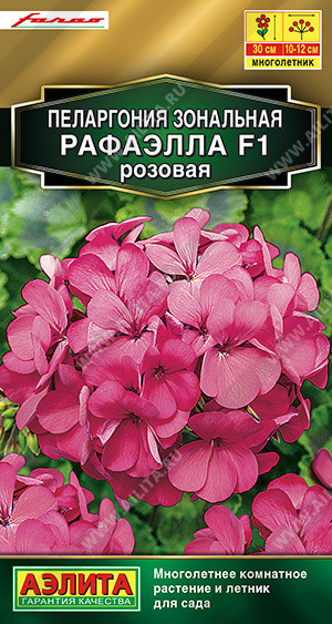 8253U Пеларгония Рафаэлла F1 розовая 5шт