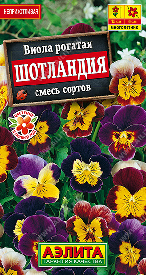 1286A Виола Шотландия, смесь сортов 20 шт