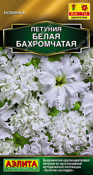 1966A Петуния Белая бахромчатая полумахровая 7 шт