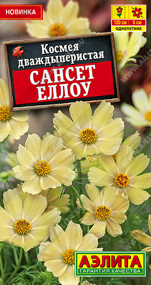 1432A Космея Сансет еллоу 0,3 гр