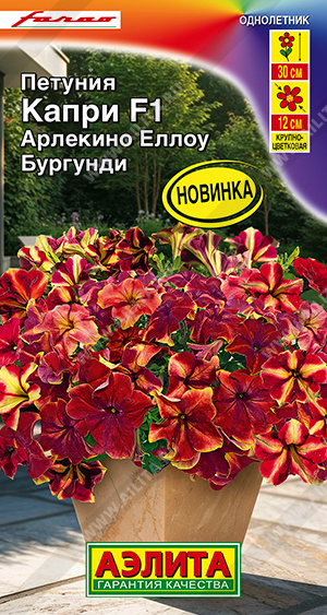 1967A Петуния Капри F1 арлекино еллоу бургунди 5 шт