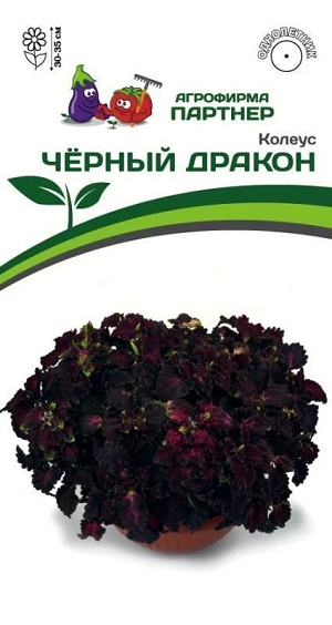 8370U Колеус ЧЁРНЫЙ ДРАКОН 10шт