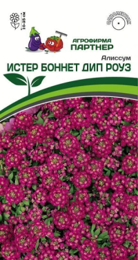 3278P Алиссум морской "Истер Боннет" ДИП РОУЗ 0,01гр