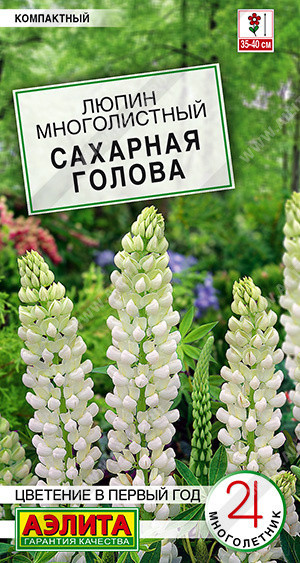 8234U Люпин Сахарная голова 7шт