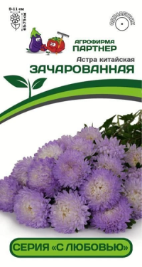 3293P Астра китайская ЗАЧАРОВАННАЯ 5 шт