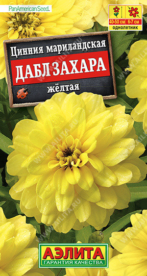 1747A Цинния Дабл Захара желтая 5 шт