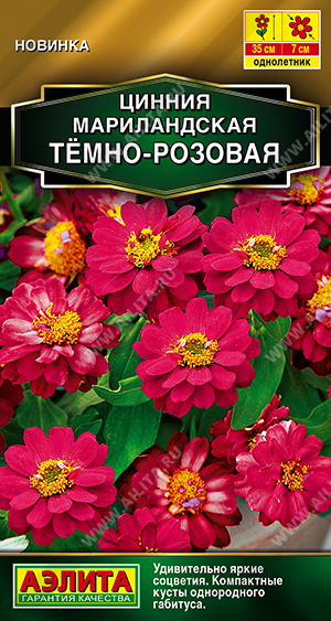 1985A Цинния мариландская Тёмно-розовая 15 шт