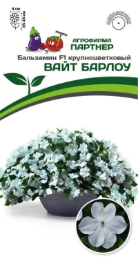 3297P Бальзамин Уоллера F1 крупноцветковый ВАЙТ БАРЛОУ 5 шт