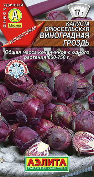 8034U Капуста брюссельская Виноградная гроздь 0,1гр