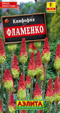 1406A Книфофия ягодная Фламенко 0,1 гр