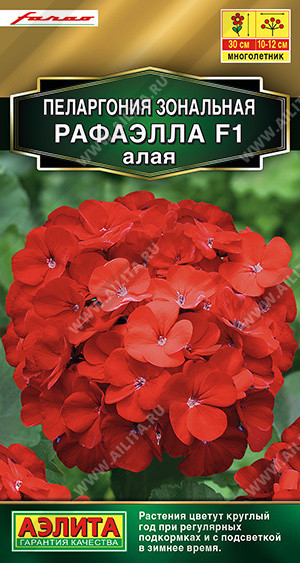 8251U Пеларгония Рафаэлла F1 алая 5шт