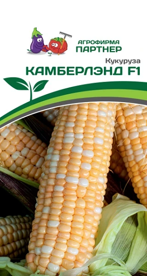 3063P Кукуруза КАМБЕРЛЭНД F1 3 гр