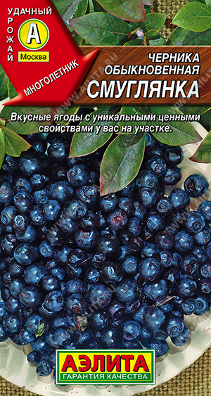 1906A Черника обыкновенная Смуглянка, 0,01 гр