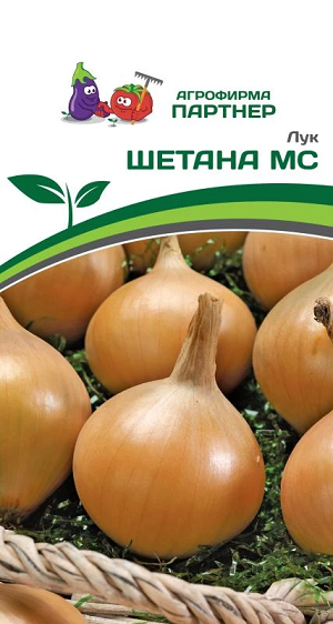3073P Лук репчатый ШЕТАНА МС 1 гр