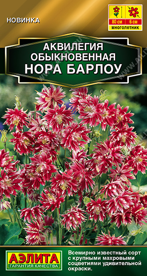 1912A Аквилегия Нора Барлоу, 0,05 гр