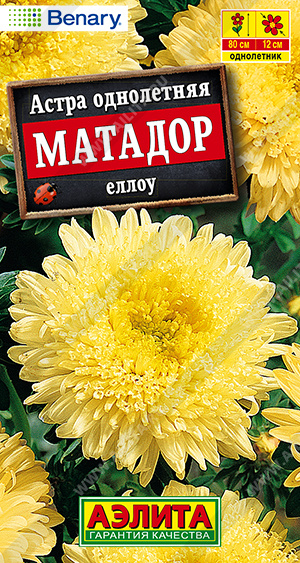 1916A Астра Матадор еллоу, 10 шт
