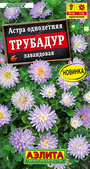 1920A Астра Трубадур лавандовая, 20 шт