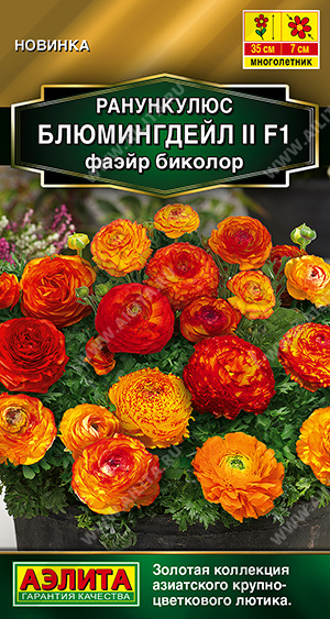 1662A Ранункулюс Блюмингдейл II F1 фаэйр биколор 3 шт