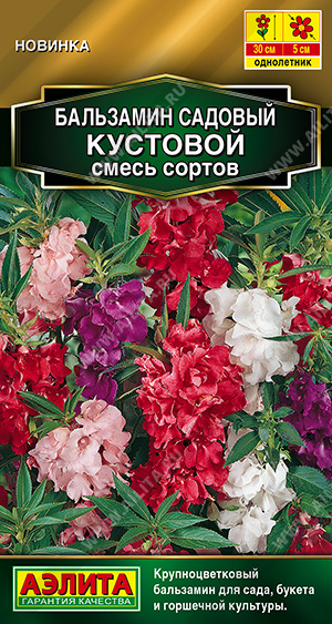 1924A Бальзамин садовый Кустовой, смесь сортов, 0,2 гр