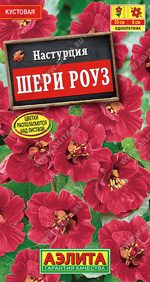 1529A Настурция Шери Роуз карликовая 1 гр