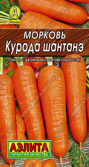 8435U Морковь Курода шантанэ 2гр