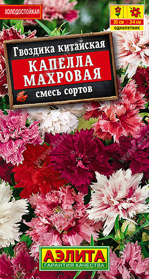 8174U Гвоздика Капелла махровая китайская, смесь сортов 0,1гр
