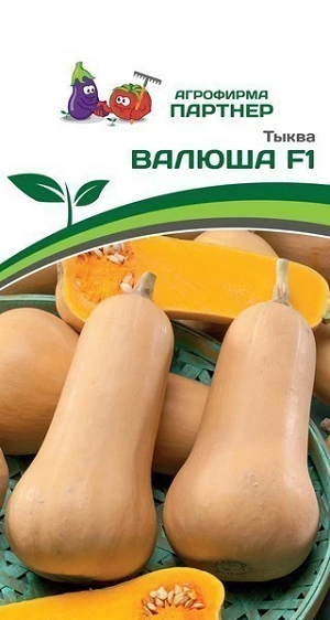 3279P Тыква ВАЛЮША 5 шт